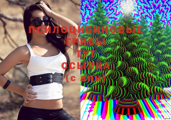 дмт Баксан