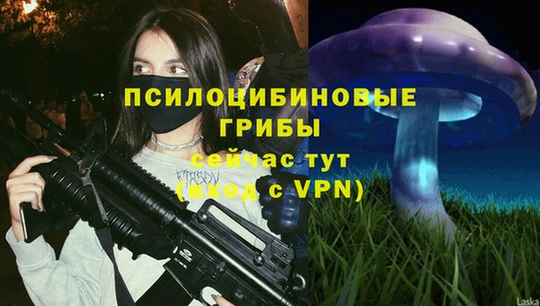 бошки Балахна