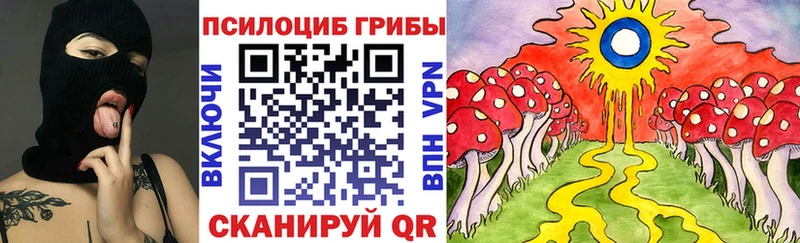 дарк нет какой сайт  наркота  Печора  Псилоцибиновые грибы Psilocybe 